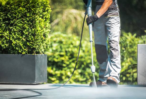 Best Roof Washing  in Campbellsville, KY